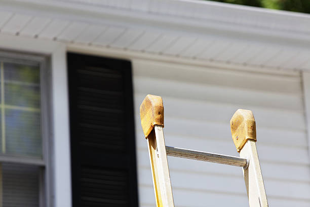 Best Custom Siding Design  in Naples, UT